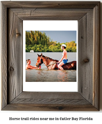 horse trail rides near me in Cutler Bay, Florida